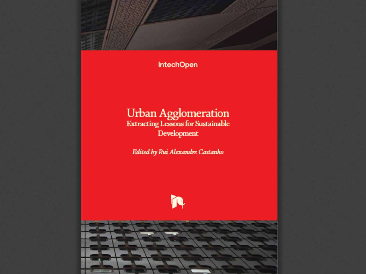 Urban Agglomeration: Extracting Lessons for Sustainable Development