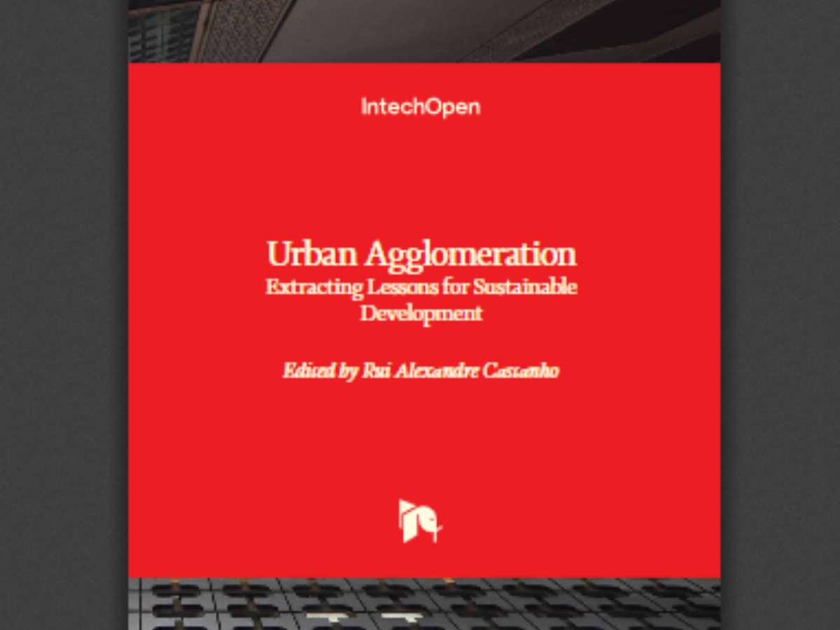 Urban Agglomeration: Extracting Lessons for Sustainable Development