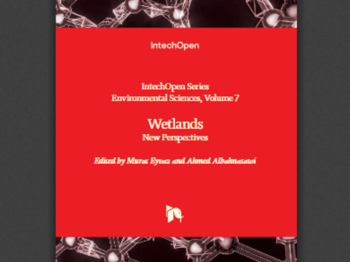Wetlands: New Perspectives