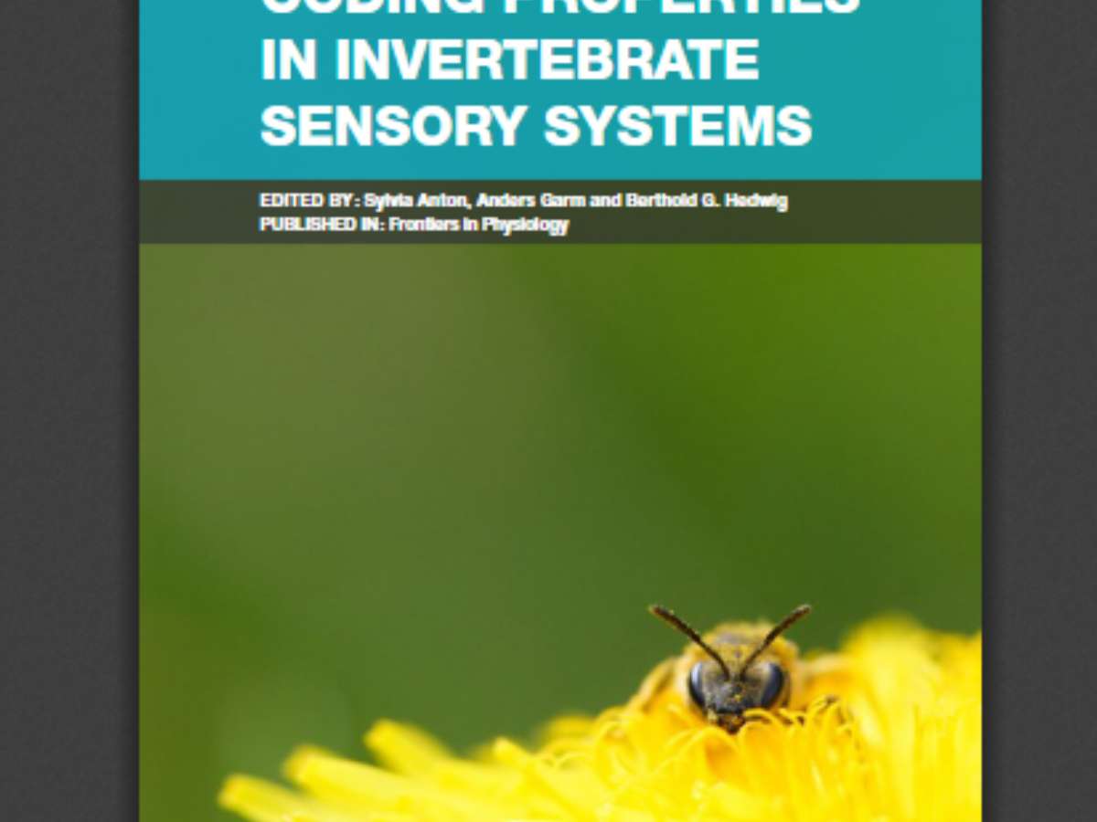 Coding Properties in Invertebrate Sensory Systems