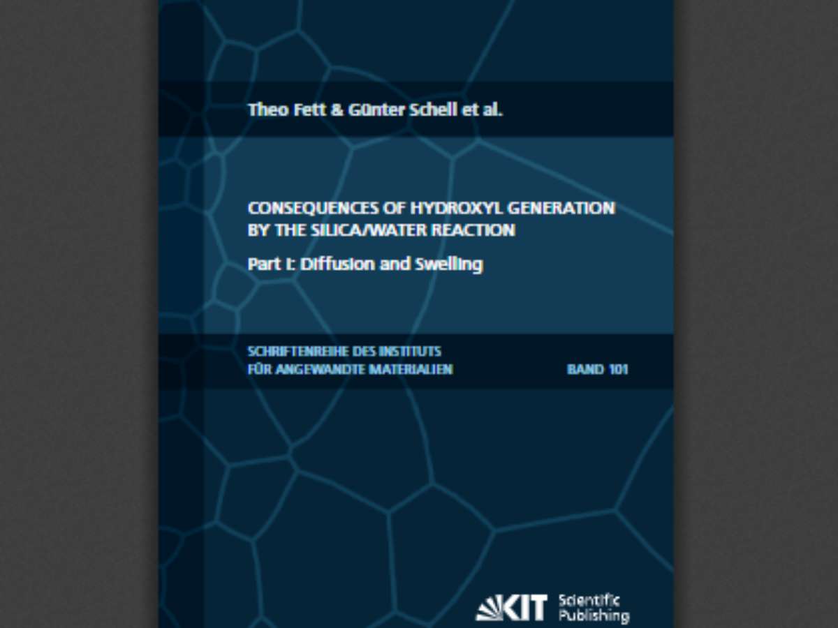 Consequences of hydroxyl generation by the silica/water reaction Part I: Diffusion and Swelling