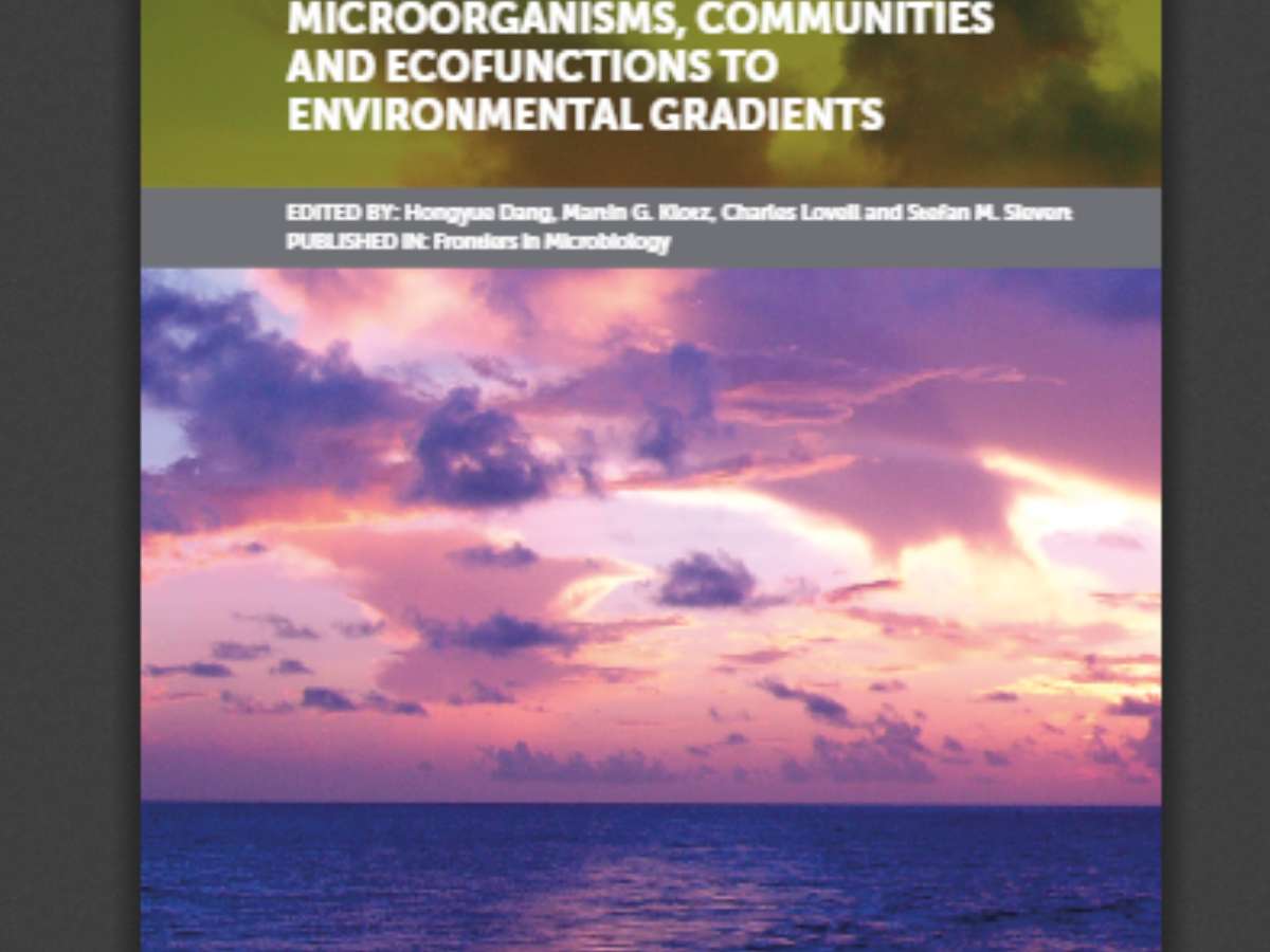 The Responses of Marine Microorganisms, Communities and Ecofunctions to Environmental Gradients