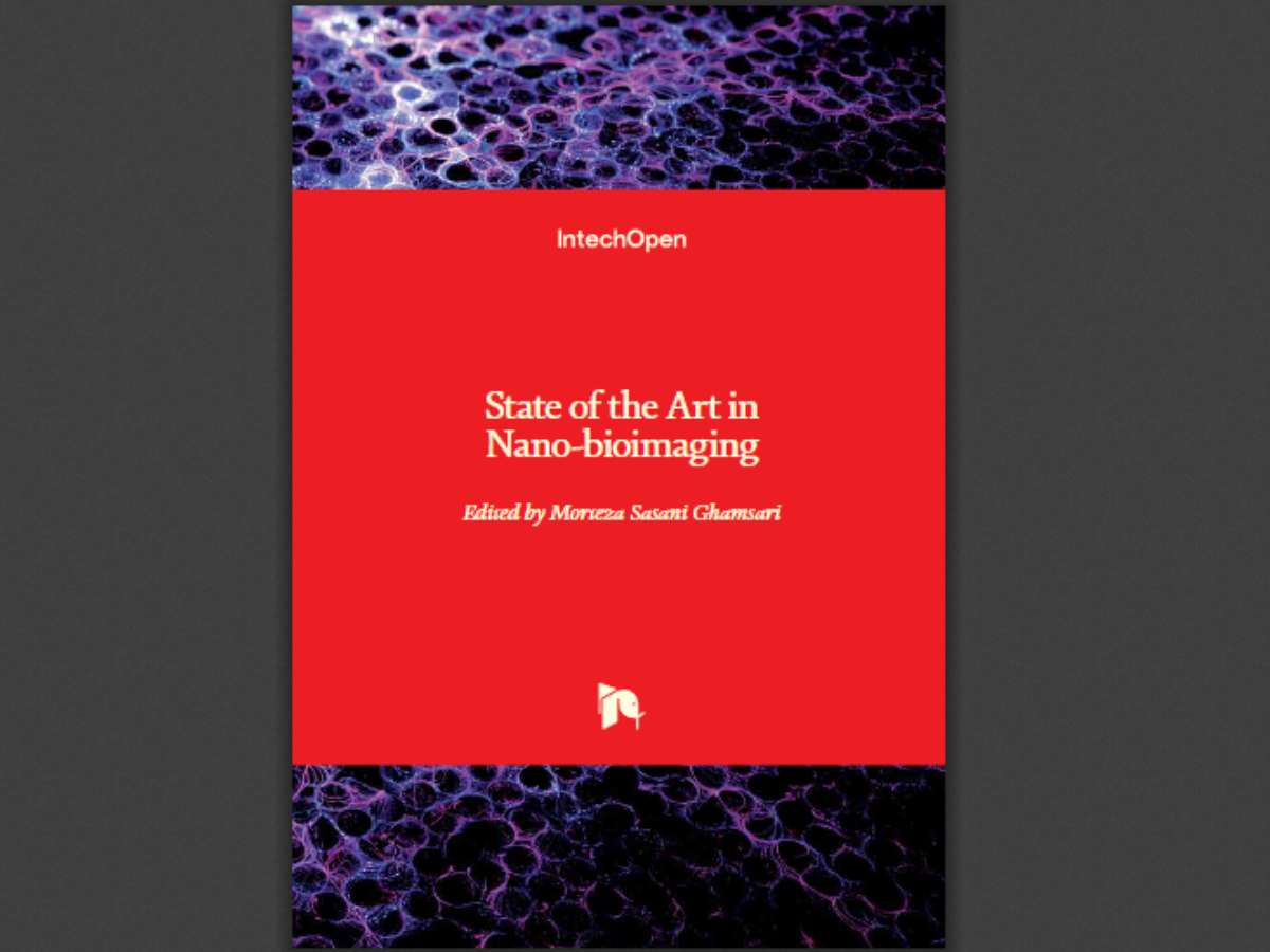 State of the Art in Nano-bioimaging