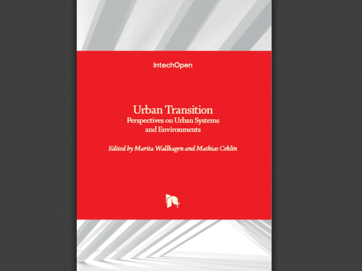 Urban Transition: Perspectives on Urban Systems and Environments