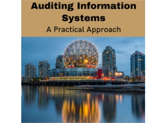 Auditing Information Systems: A Practical Approach