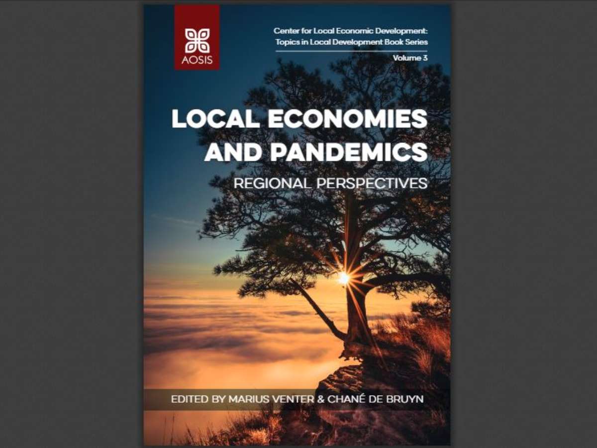 Local economies and pandemics: Regional perspectives