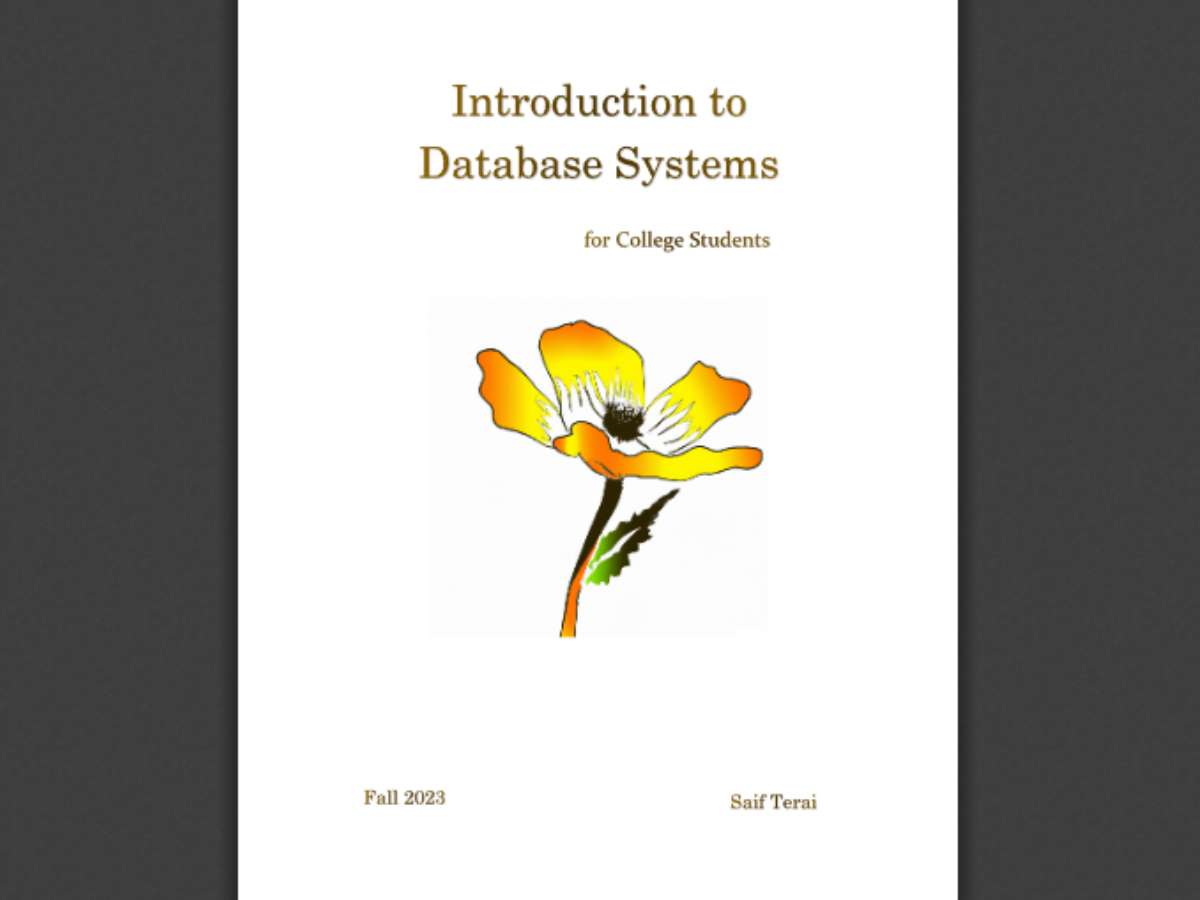 Introduction to Database Systems for College Students