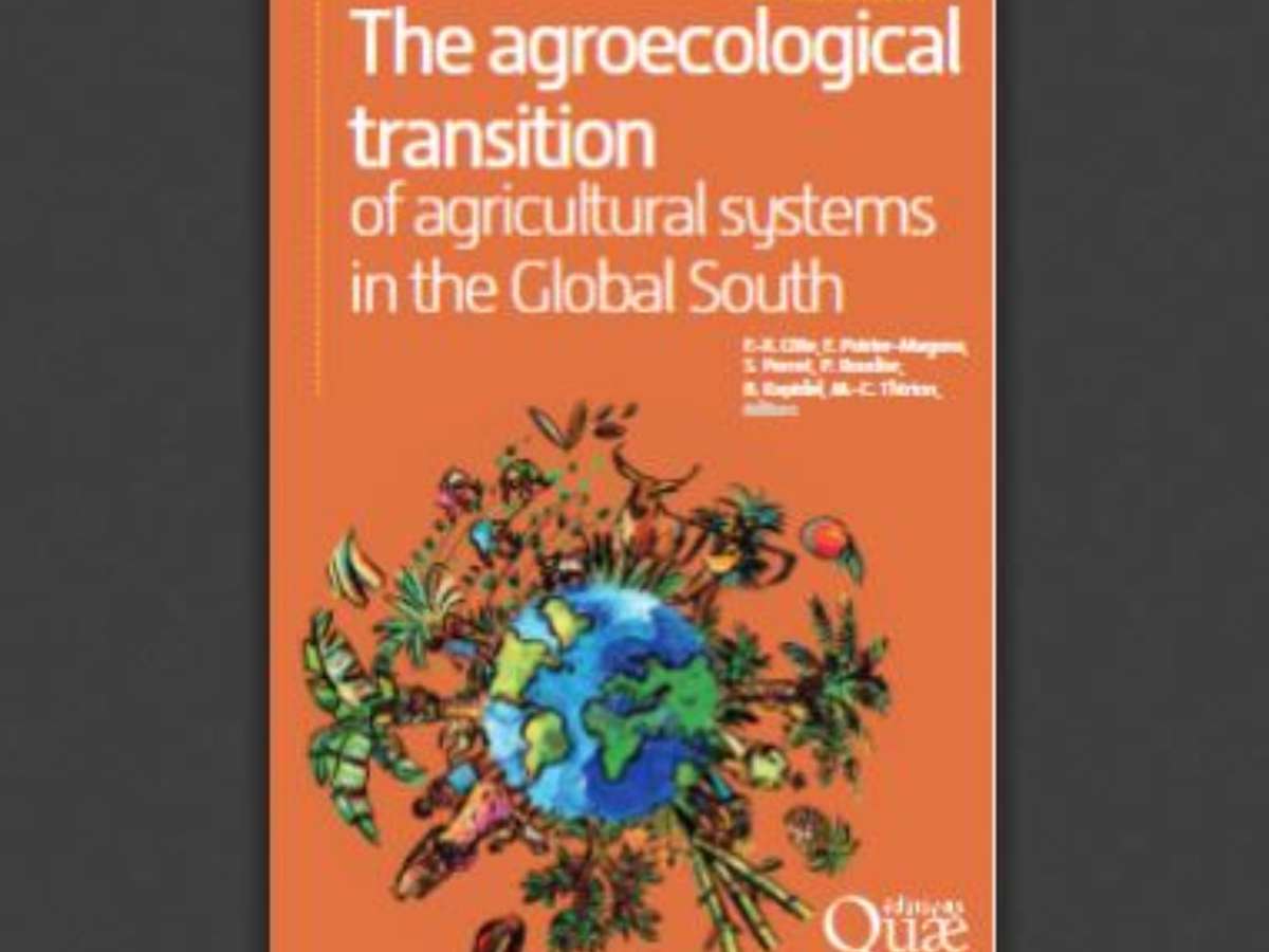 The agroecological transition of agricultural systems in the Global South