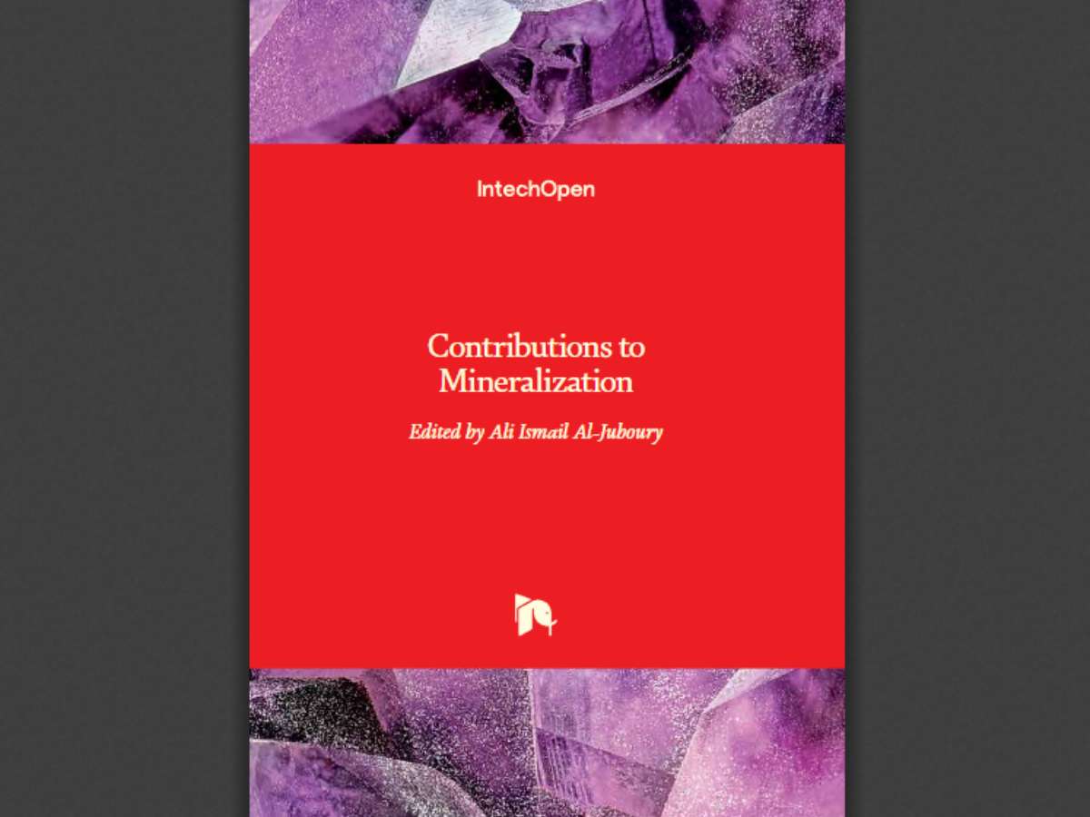 Contributions to Mineralization