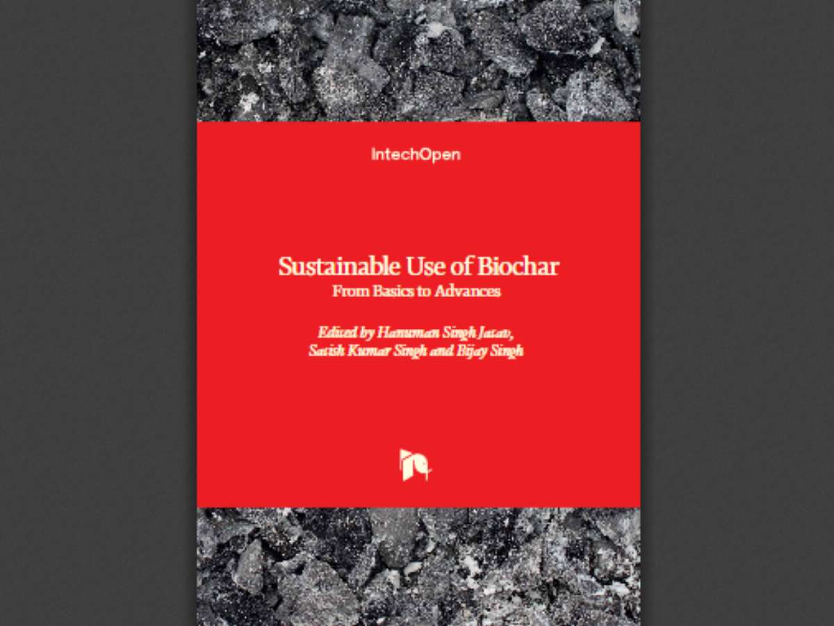 Sustainable Use of Biochar: From Basics to Advances