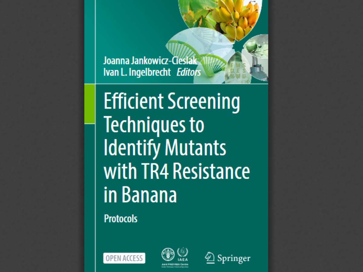 Efficient Screening Techniques to Identify Mutants with TR4 Resistance in Banana: Protocols