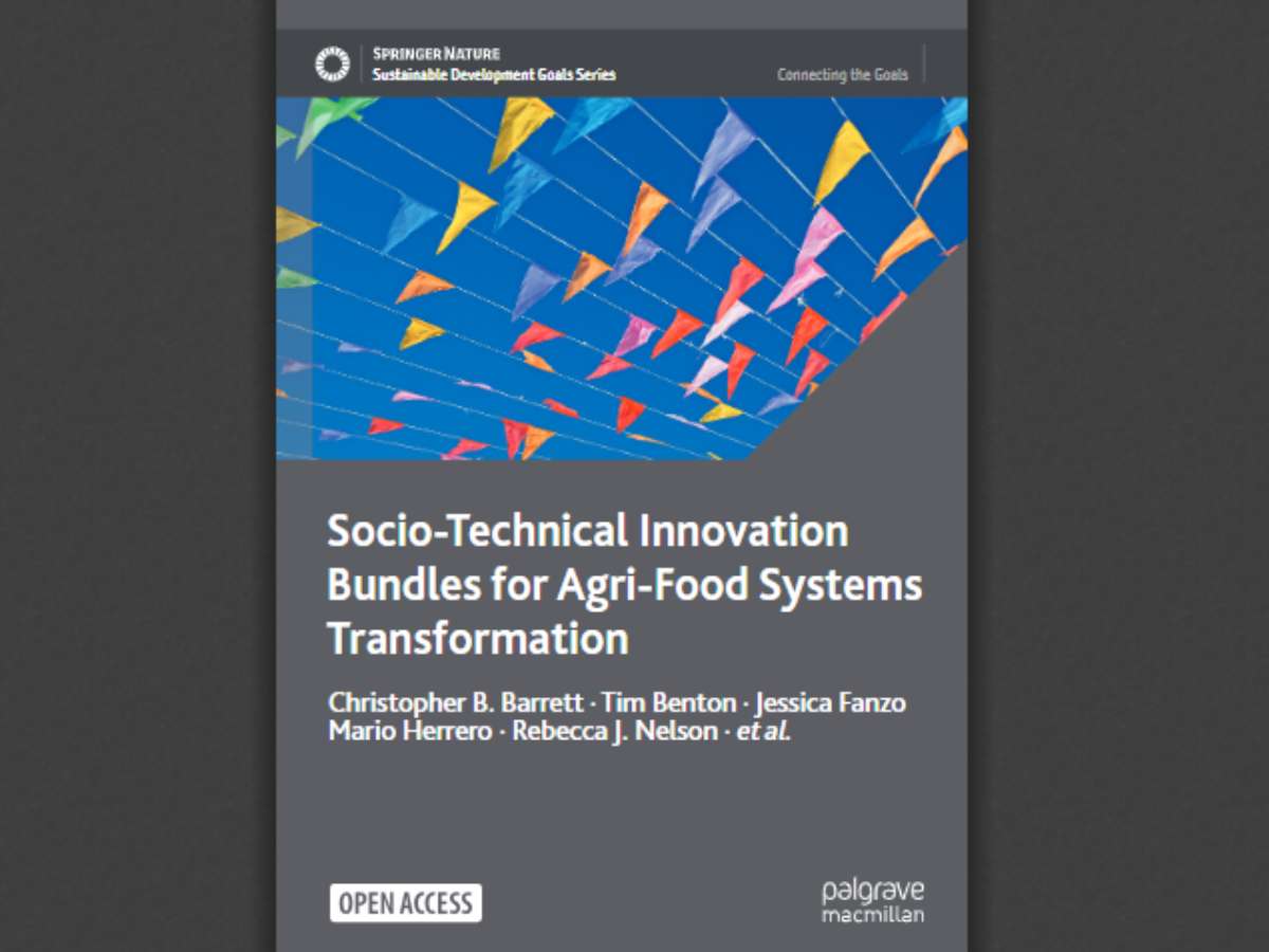 Socio-Technical Innovation Bundles for Agri-Food Systems Transformation