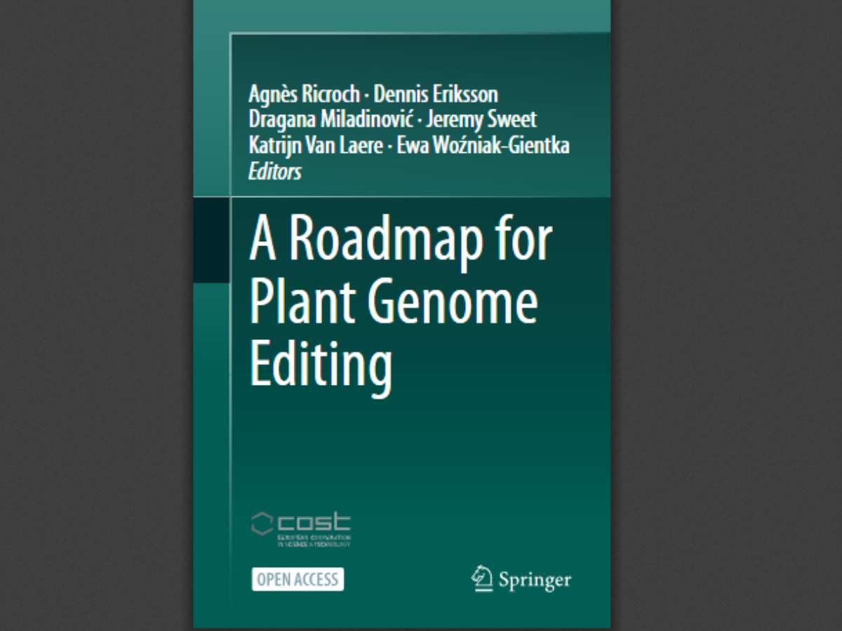 A Roadmap for Plant Genome Editing