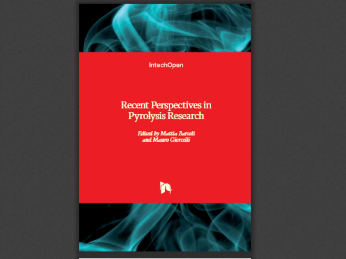 Recent Perspectives in Pyrolysis Research