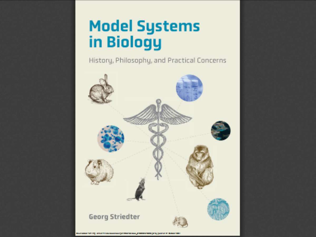 Model Systems in Biology: History, Philosophy, and Practical Concerns