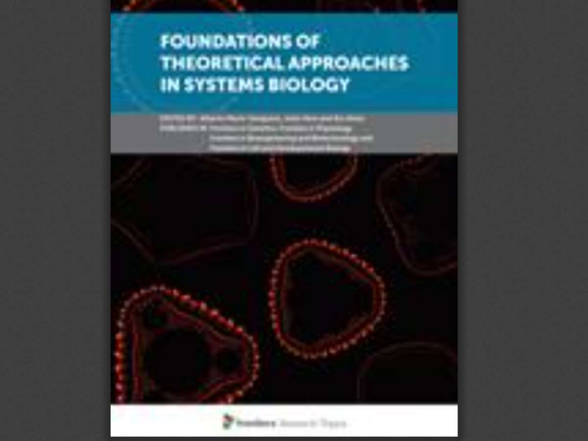 Foundations of Theoretical Approaches in Systems Biology