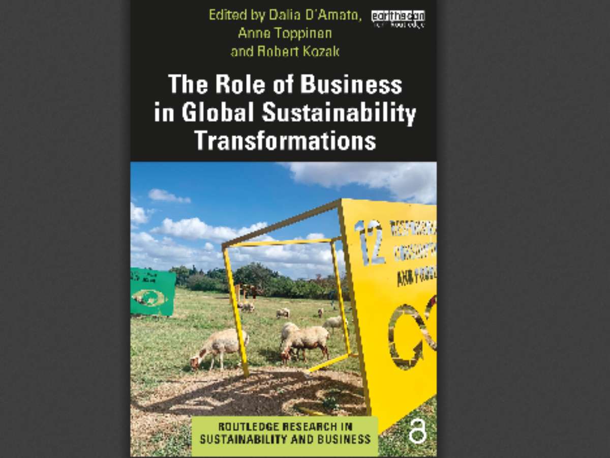 The Role of Business in Global Sustainability Transformations