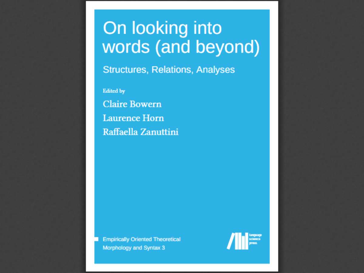 On looking into words (and beyond): Structures, Relations, Analyses