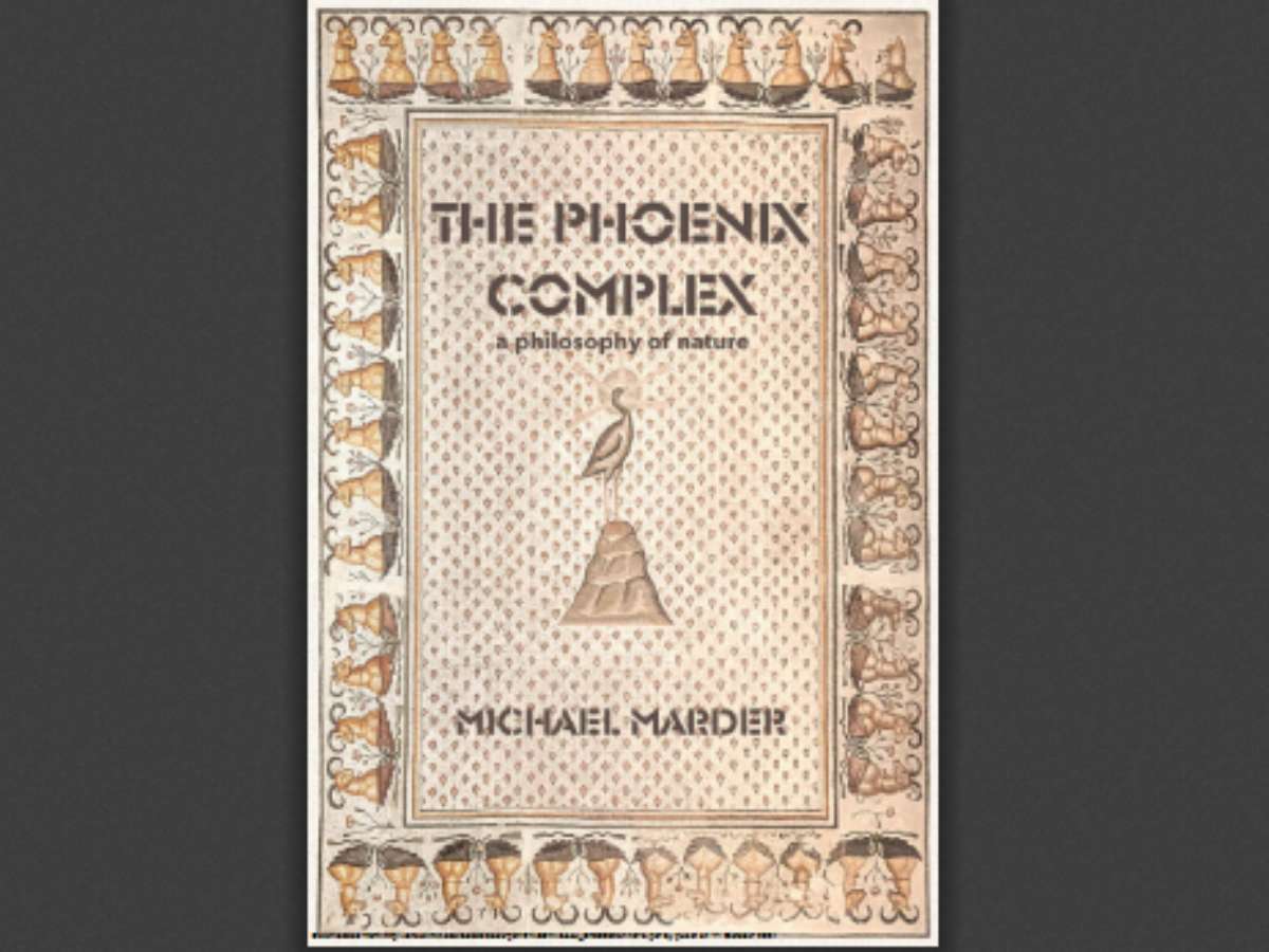 The Phoenix Complex: A Philosophy of Nature